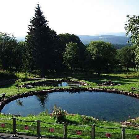 Hotel Alpska Vyhlidka Kvilda Bagian luar foto