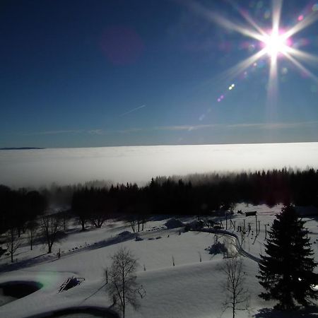 Hotel Alpska Vyhlidka Kvilda Bagian luar foto