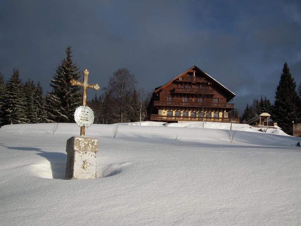 Hotel Alpska Vyhlidka Kvilda Bagian luar foto