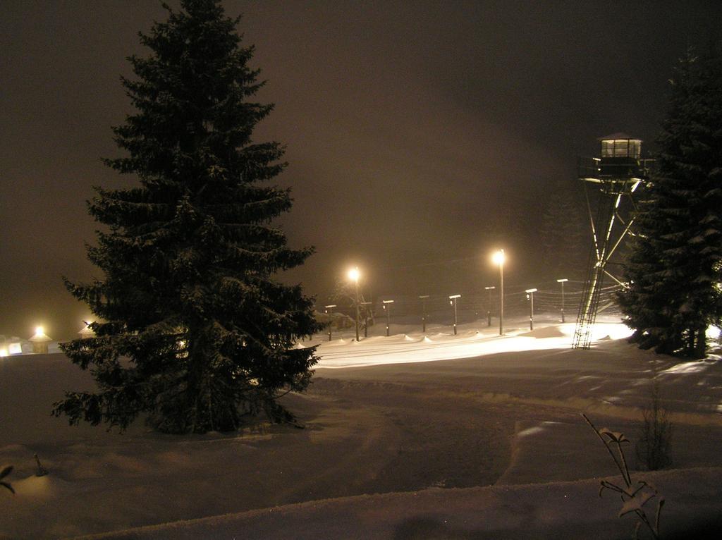 Hotel Alpska Vyhlidka Kvilda Bagian luar foto
