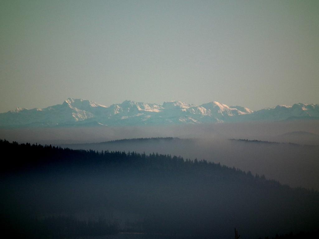 Hotel Alpska Vyhlidka Kvilda Bagian luar foto