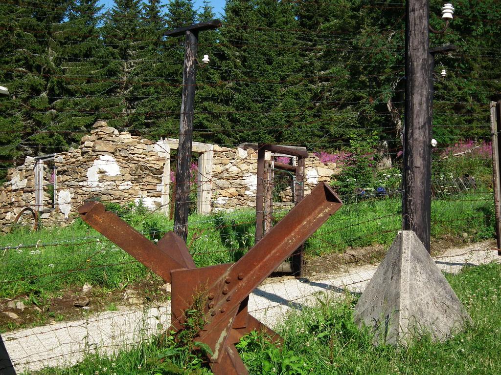 Hotel Alpska Vyhlidka Kvilda Bagian luar foto